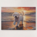 Suche nach bichon frise puzzle Jede person