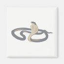 Suche nach kobra magnete Reptil