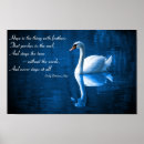 Suche nach weißer schwan poster See