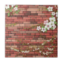 Suche nach ziegel fliesen Rot