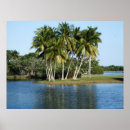 Suche nach tropischer garten poster Natur