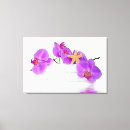Suche nach weiße orchideen leinwandbilder Jede person