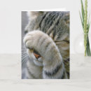Suche nach lustiges katzenbild karten Jede person