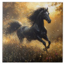 Suche nach schwarzes pferd fliesen Wild