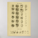 Suche nach zahn poster Vintag