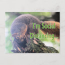 Suche nach eichhörnchen spaß postkarten Tierwelt