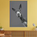 Suche nach donkey leinwandbilder Nutztier