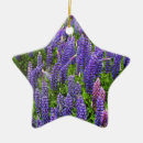 Suche nach texas stern ornamente Blau