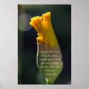 Suche nach anais nin Bud