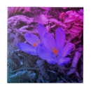 Suche nach krokus untersetzer Quelle