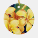 Suche nach plumeria ornamente Blume