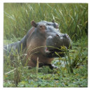 Suche nach mara fliesen Fauna