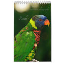 Suche nach feder kalender Farbe