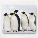 Suche nach kaiser pinguine mousepads Wild lebende tiere