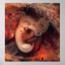 Suche nach embryo poster Schwangerschaft