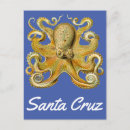 Suche nach octopus postkarten Zeichnend