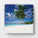 Suche nach tropisch fotoplatten Strand