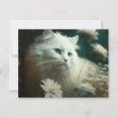 Suche nach cute animals horizontale postkarten Funny