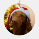 Suche nach vizsla ornamente Hund