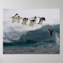 Suche nach meer poster Tier