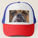 Suche nach bulldog kappen Tiere