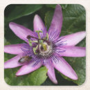 Suche nach leidenschaftlich untersetzer Blume
