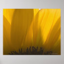 Suche nach vitalität kunst Frische