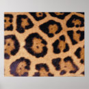 Suche nach leopardhaut Braun