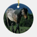 Suche nach mustang ornamente Bob langrish