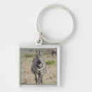 Suche nach kenia schlüsselanhänger Betrachten der kamera