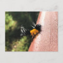 Suche nach fuzzy postkarten Gelb