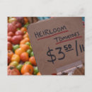 Suche nach tomaten postkarten Fotografie