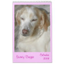 Suche nach sweety Tiere