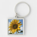 Suche nach sunflower accessoires Bunt
