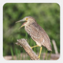 Suche nach heron aufkleber Tierwelt
