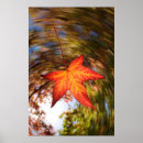 Suche nach abstract tree poster Autumn
