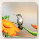 Suche nach kolibris untersetzer Natur