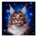 Suche nach maine coon poster Für katzenliebhaber