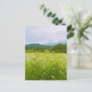 Suche nach friedliche landschaft postkarten Sommer