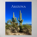 Suche nach saguaro cactus poster Tucson