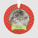 Suche nach miezekatze ornamente Für haustiere