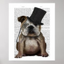 Suche nach english bulldog poster Englische bullhunde