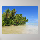 Suche nach blaue lagune poster Palmen