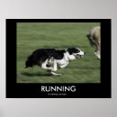 Suche nach herding poster Dog