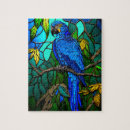 Suche nach bunter vogel puzzle Dschungel