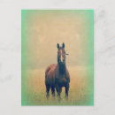 Suche nach horses postkarten Fantasie