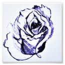 Suche nach rosenblüte poster Blütenblätter