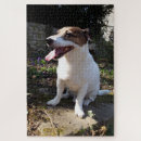 Suche nach jack russell terrier puzzle Hund