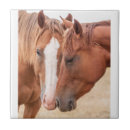 Suche nach weiden fliesen Pferde