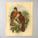 Suche nach schnabel poster Vogel